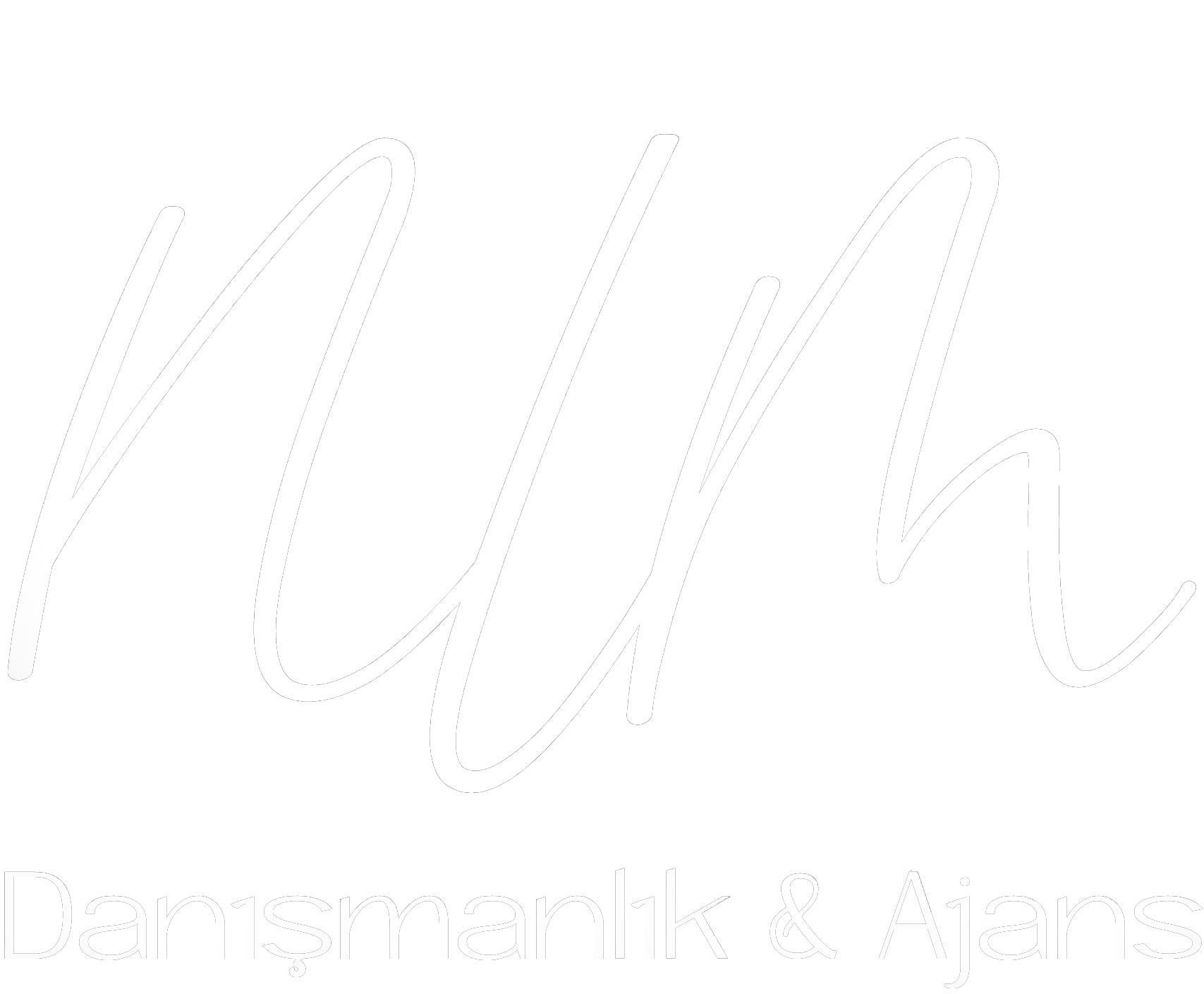 NLM Danışmanlık